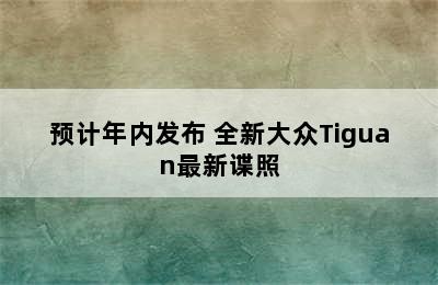 预计年内发布 全新大众Tiguan最新谍照